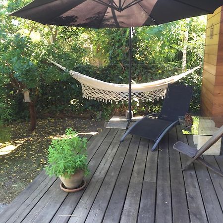Chambre D'Hotes Du Clos Bamboo Mérignac Kültér fotó